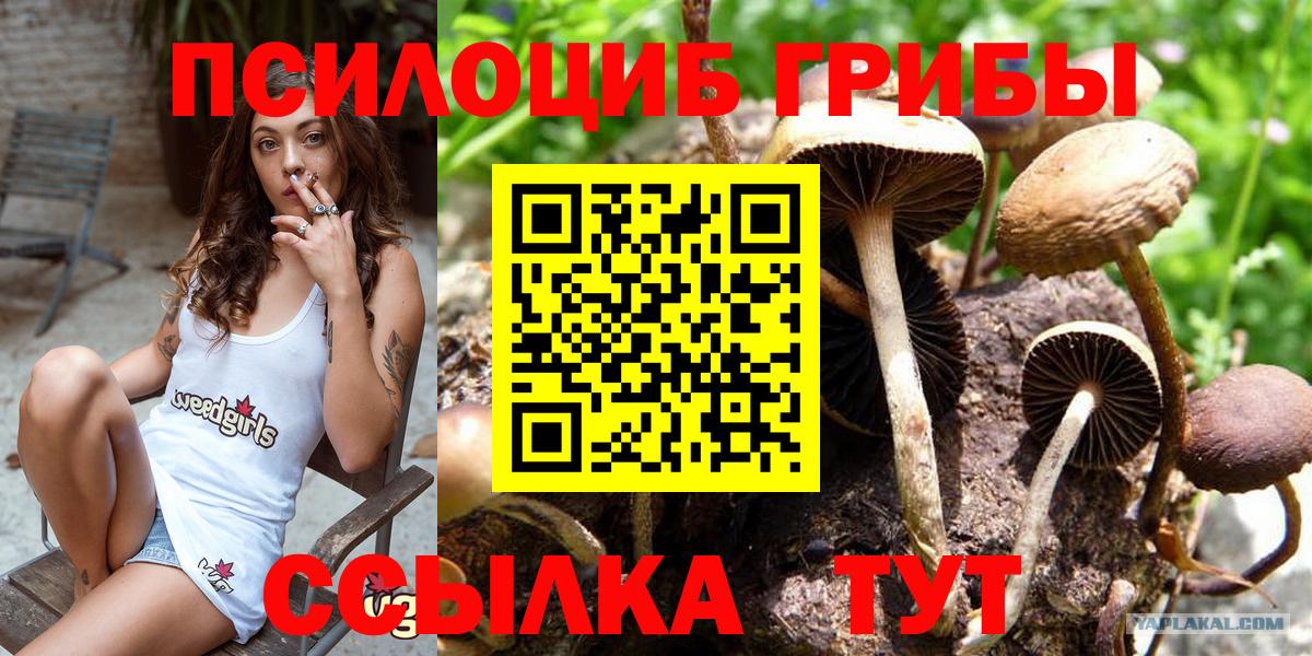 Юрга  Галлюциногенные грибы Magic Shrooms  Вход с VPN 
