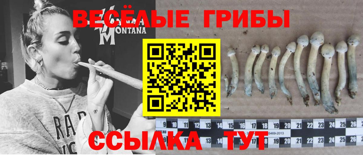 Галлюциногенные грибы мухоморы Юрга